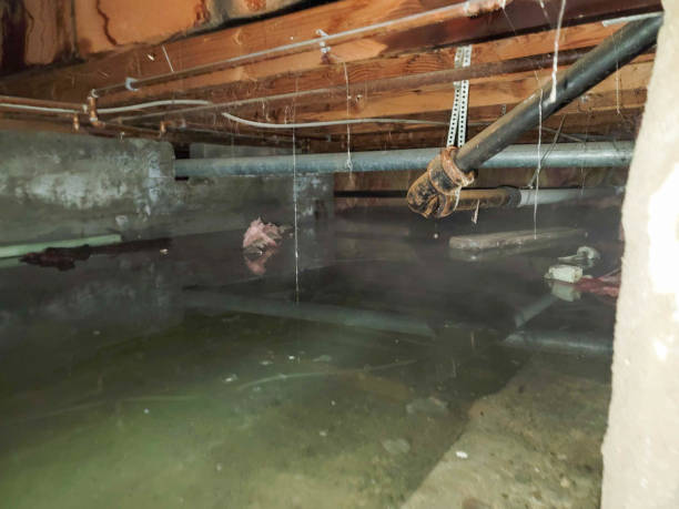Best Residential water damage restoration  in Red Bluff, CA
