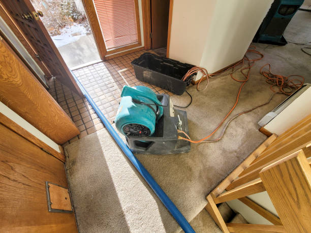 Best Flood restoration services  in Red Bluff, CA