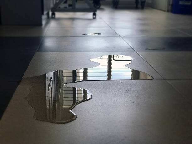 Best Local water damage restoration  in Red Bluff, CA