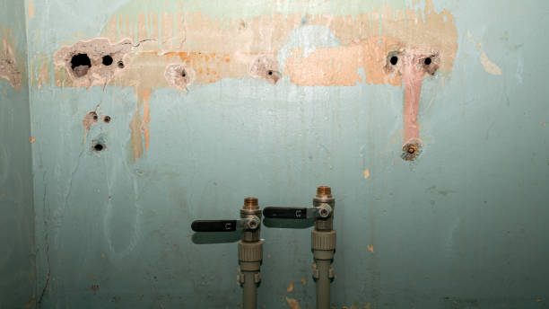 Best Professional water damage repair  in Red Bluff, CA