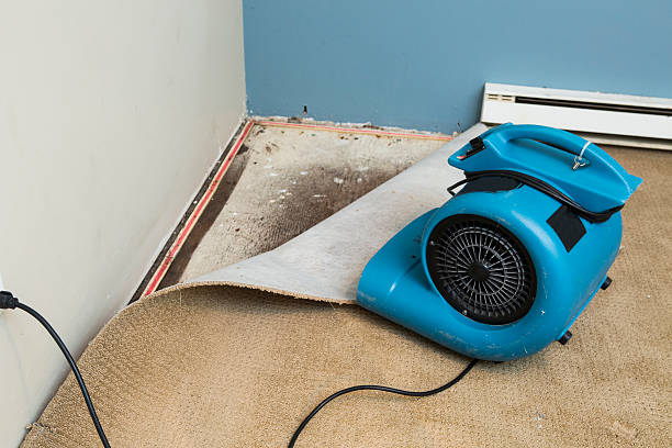 Best Water damage contractors near me  in Red Bluff, CA